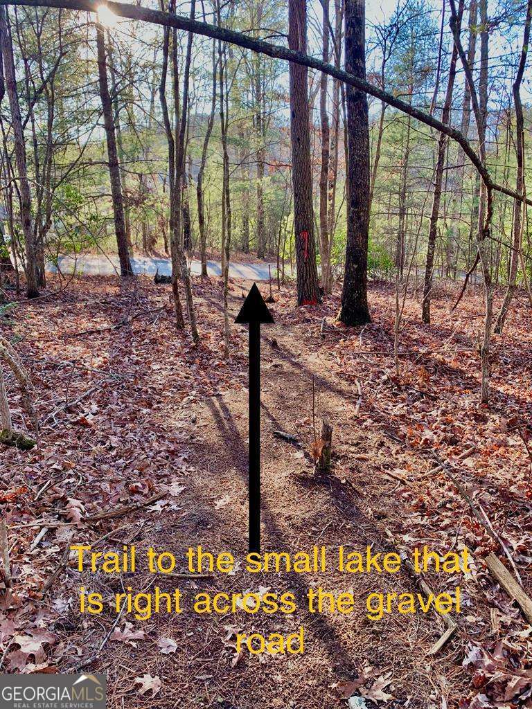 1134 Lees Ride Mccaysville GA 30555