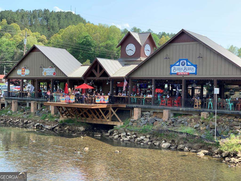1134 Lees Ride Mccaysville GA 30555