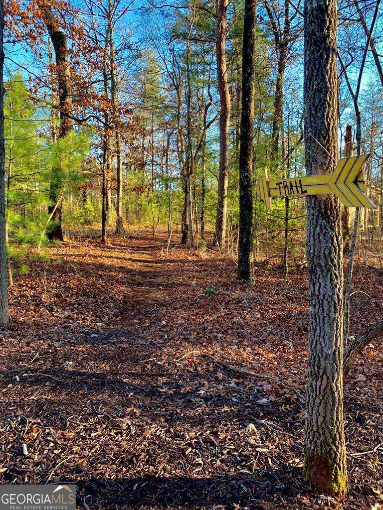 1134 Lees Ride Mccaysville GA 30555