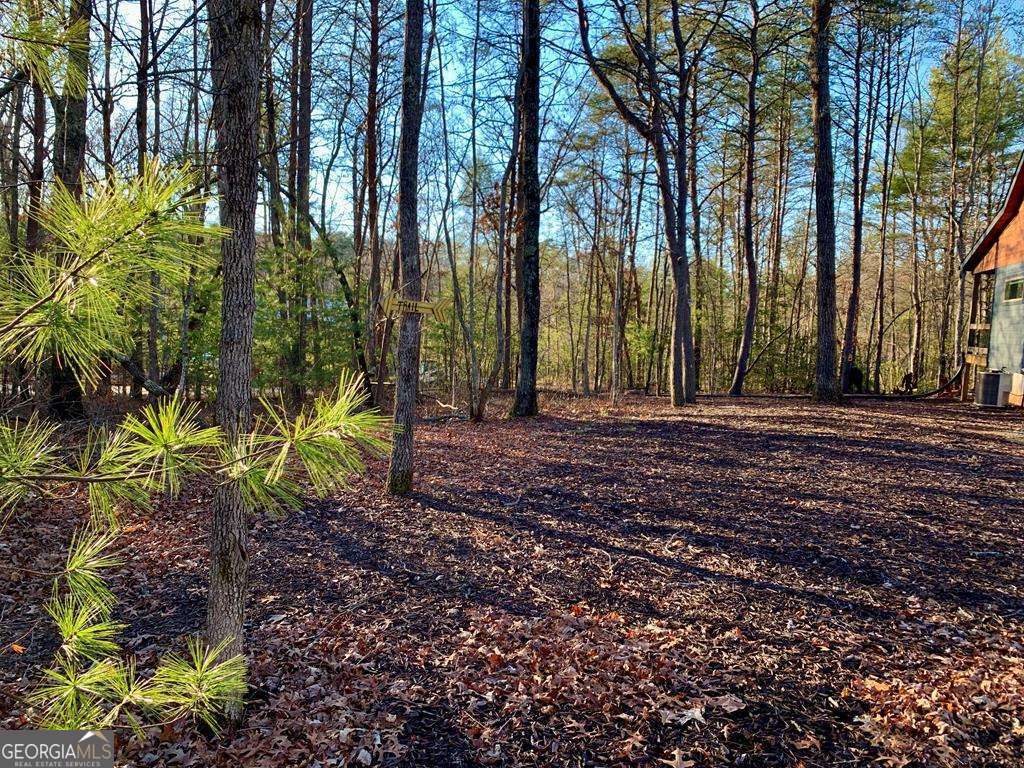 1134 Lees Ride Mccaysville GA 30555