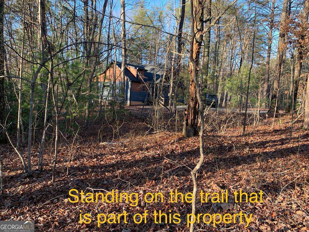 1134 Lees Ride Mccaysville GA 30555