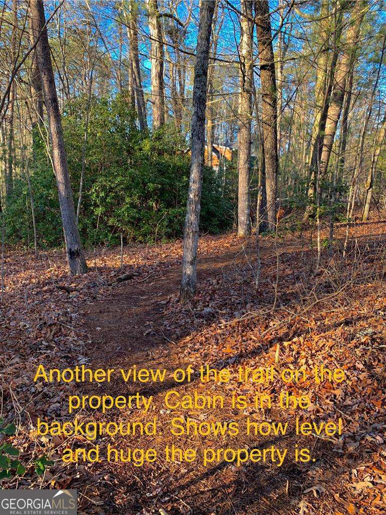 1134 Lees Ride Mccaysville GA 30555