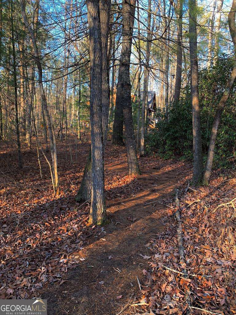 1134 Lees Ride Mccaysville GA 30555