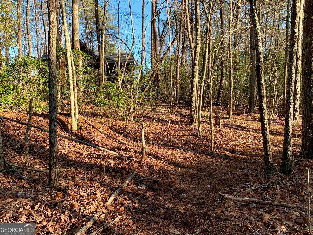 1134 Lees Ride Mccaysville GA 30555