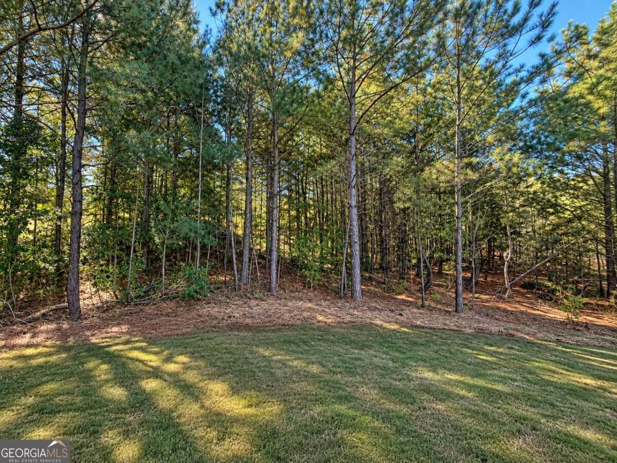 216 Magnolia Villas Drive Cornelia GA 30531