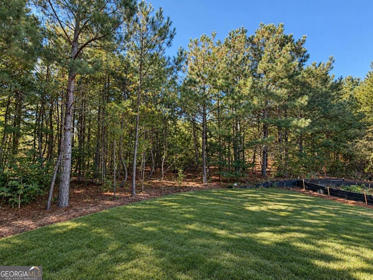 216 Magnolia Villas Drive Cornelia GA 30531