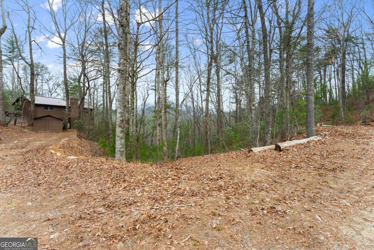 279 Cindy Cove Road Blairsville GA 30512