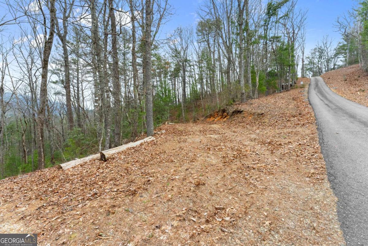 279 Cindy Cove Road Blairsville GA 30512
