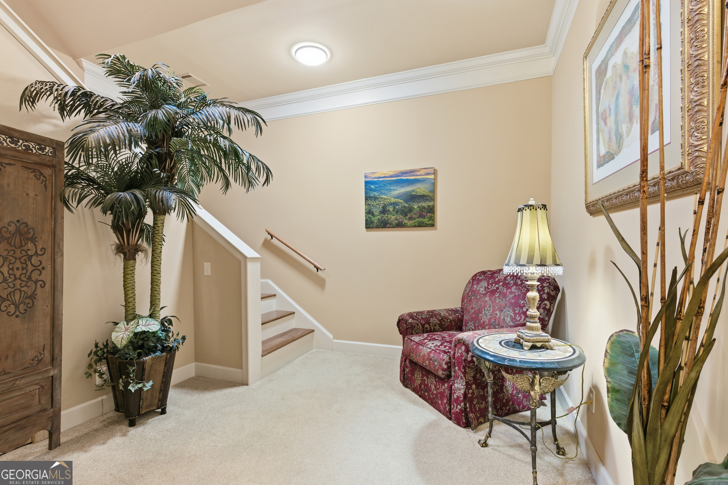 2116 Orchard Drive Clarkesville GA 30523