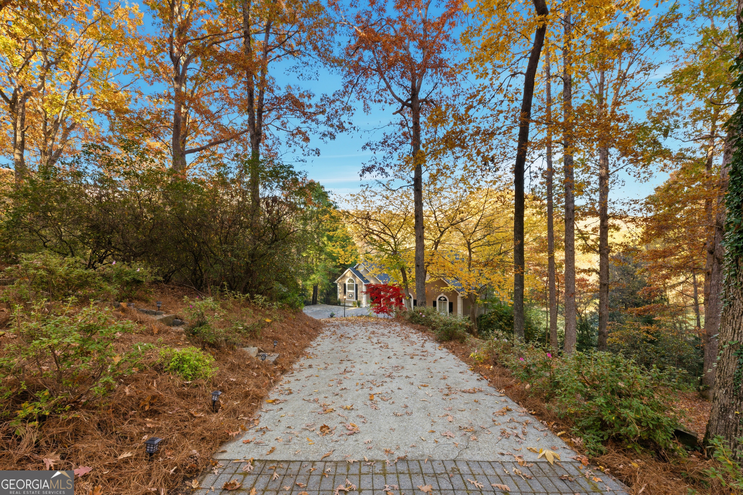 2116 Orchard Drive Clarkesville GA 30523