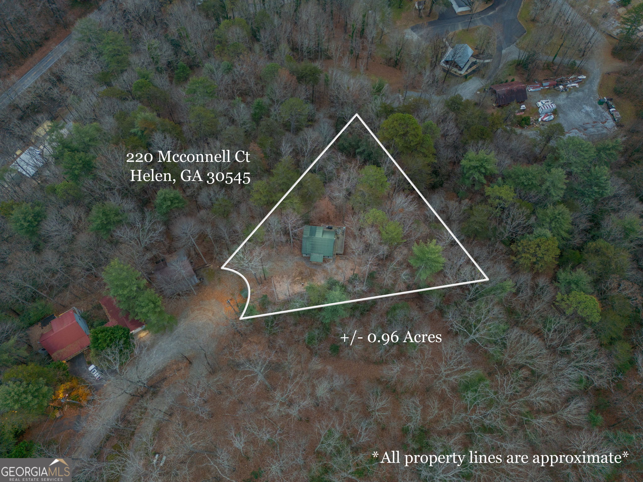 220 Mcconnell Court Helen GA 30545