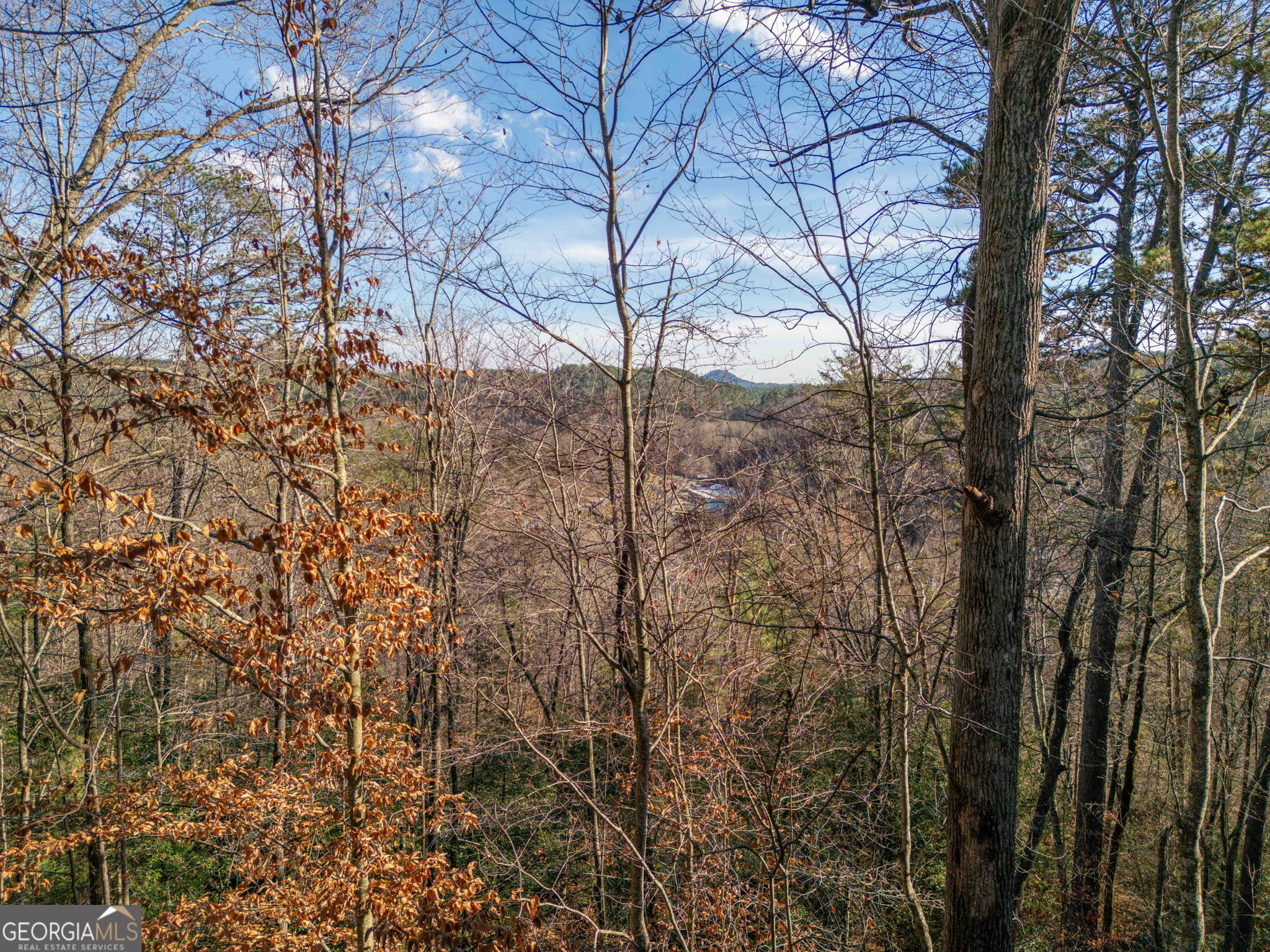 220 Mcconnell Court Helen GA 30545