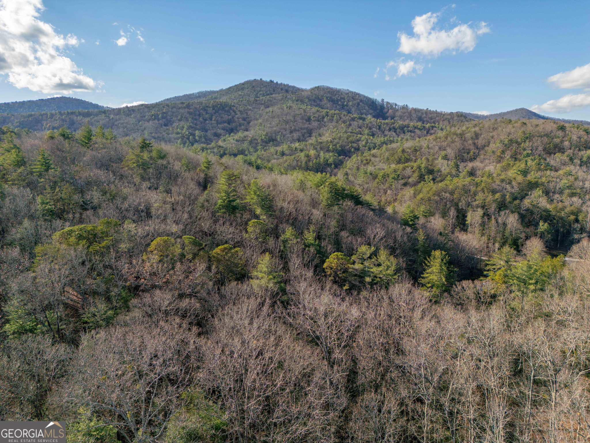 220 Mcconnell Court Helen GA 30545