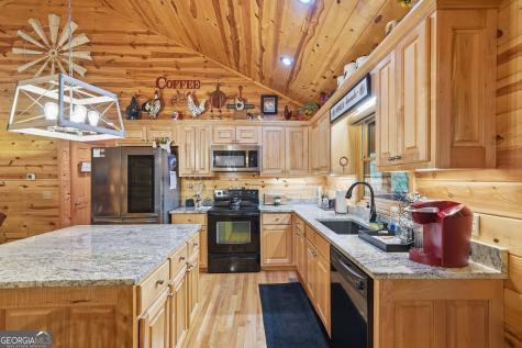 460 Pasha Drive Ellijay GA 30540