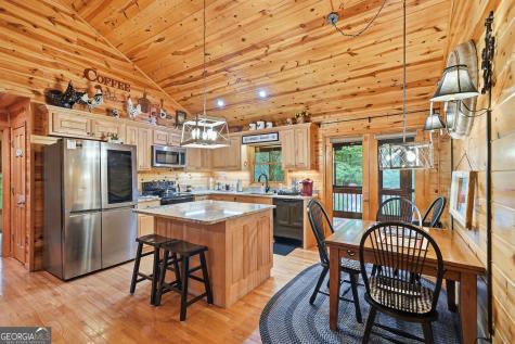 460 Pasha Drive Ellijay GA 30540