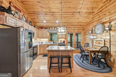 460 Pasha Drive Ellijay GA 30540