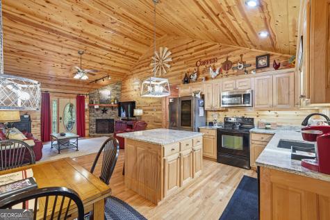 460 Pasha Drive Ellijay GA 30540
