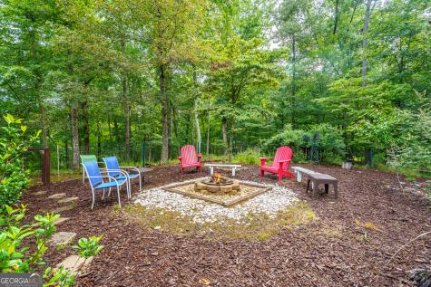 460 Pasha Drive Ellijay GA 30540