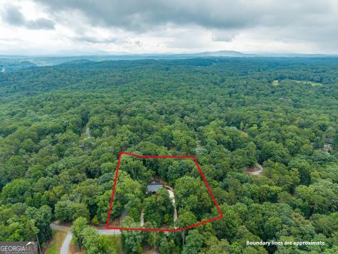 460 Pasha Drive Ellijay GA 30540
