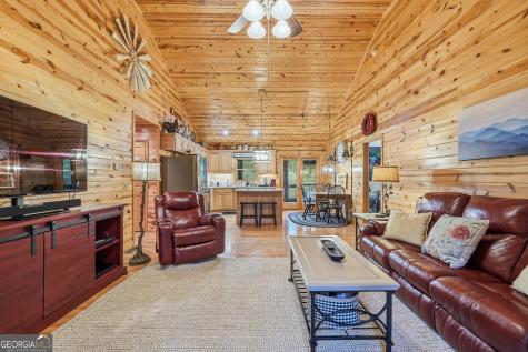 460 Pasha Drive Ellijay GA 30540