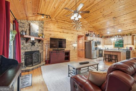 460 Pasha Drive Ellijay GA 30540
