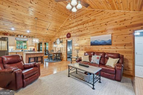 460 Pasha Drive Ellijay GA 30540