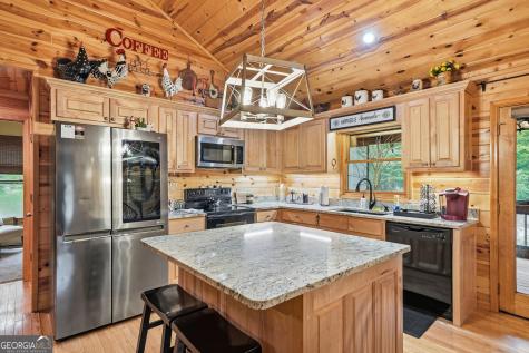 460 Pasha Drive Ellijay GA 30540