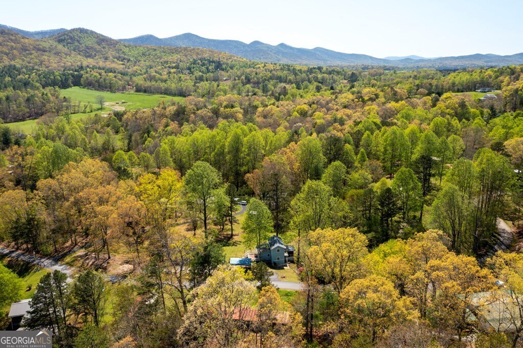 329 Ed King Road Blairsville GA 30512