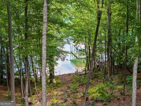 281 Pine Cone Road Blue Ridge GA 30513