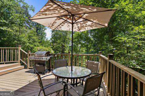281 Pine Cone Road Blue Ridge GA 30513