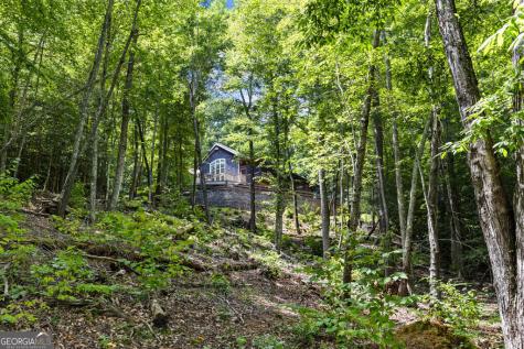 281 Pine Cone Road Blue Ridge GA 30513