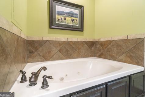 125 Sang Springs Trail Cleveland GA 30528