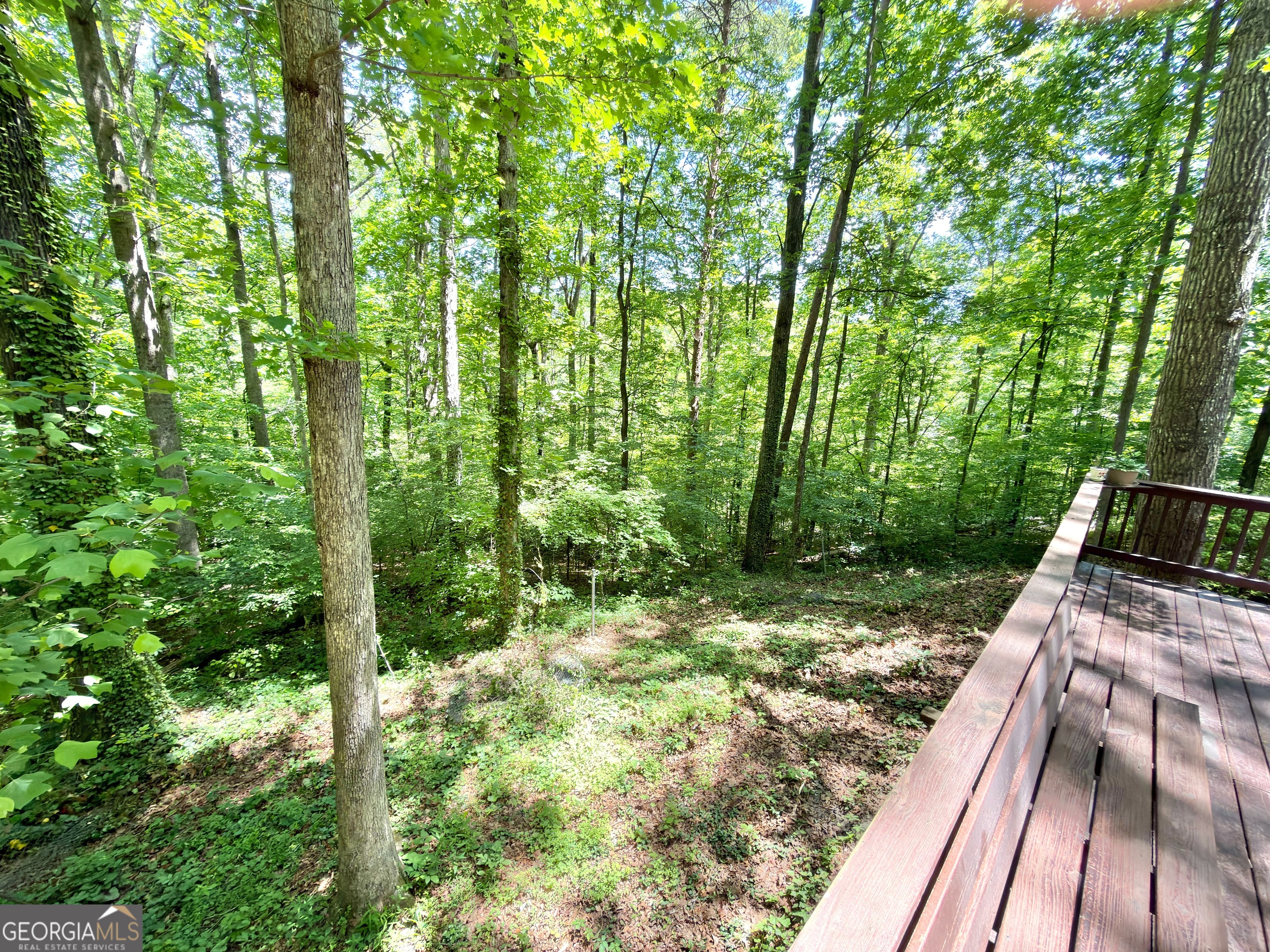 1523 Seafoam Court Marietta GA 30066