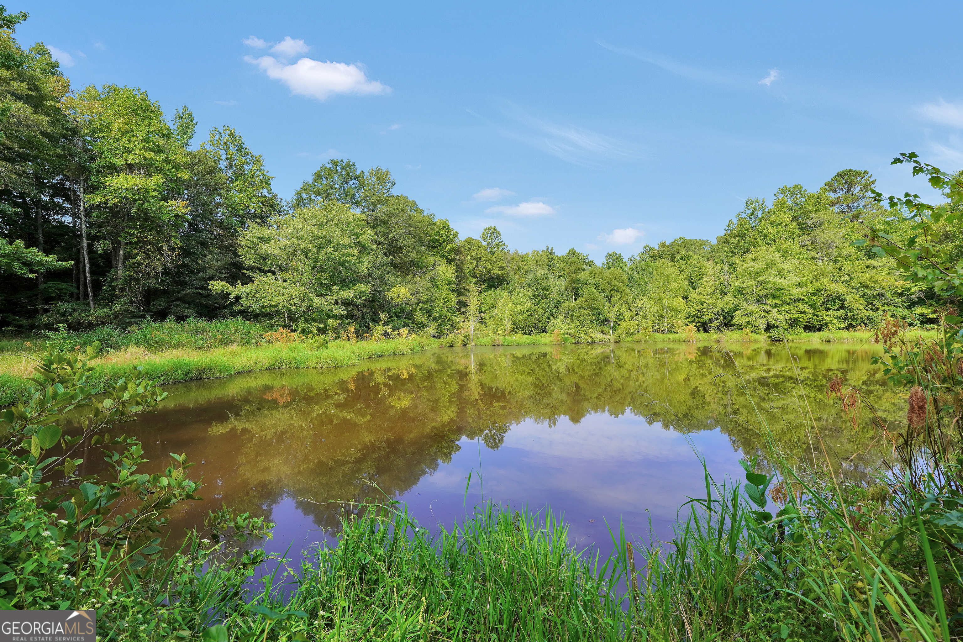 2186 Williamson Zebulon Road Williamson GA 30292