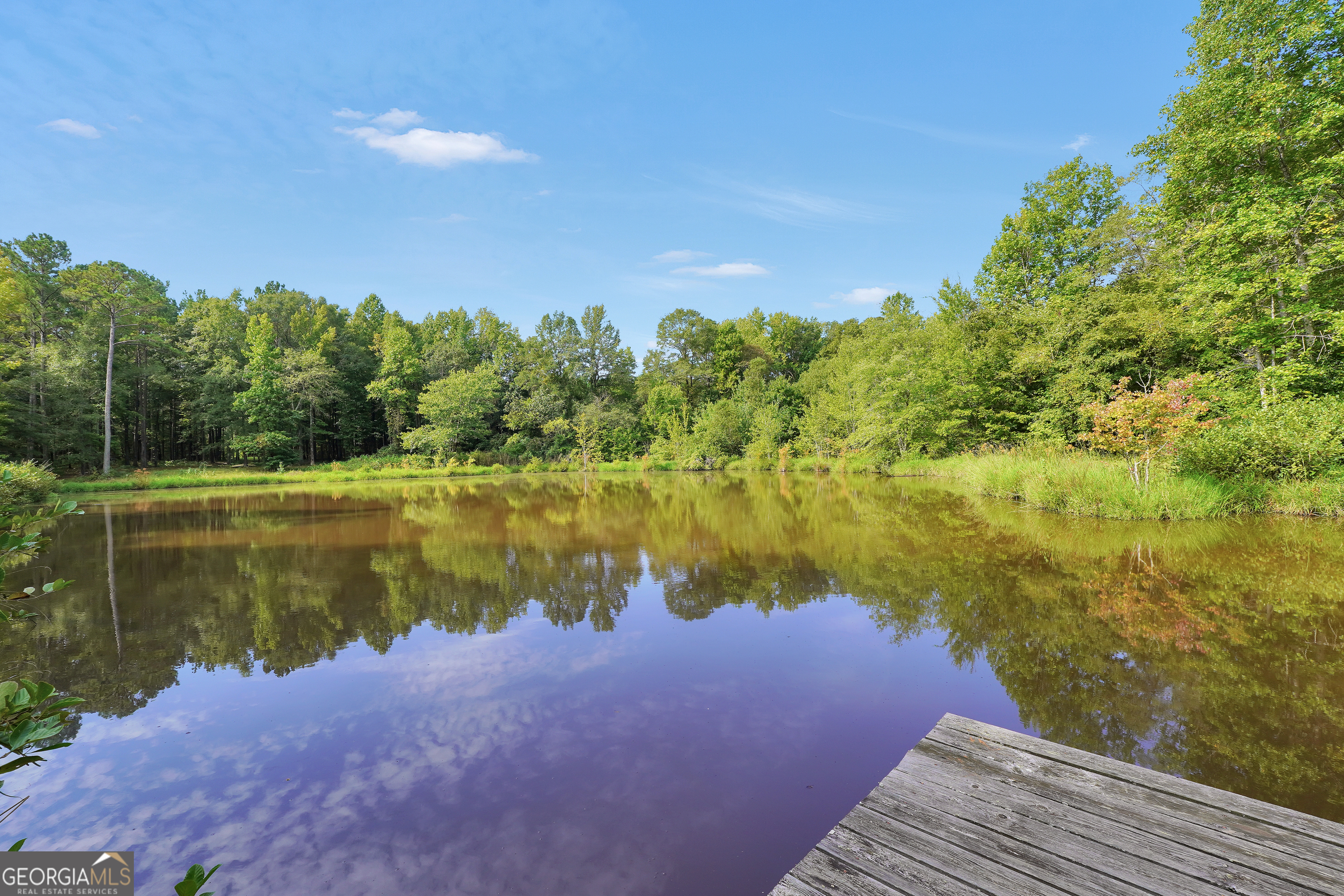 2186 Williamson Zebulon Road Williamson GA 30292