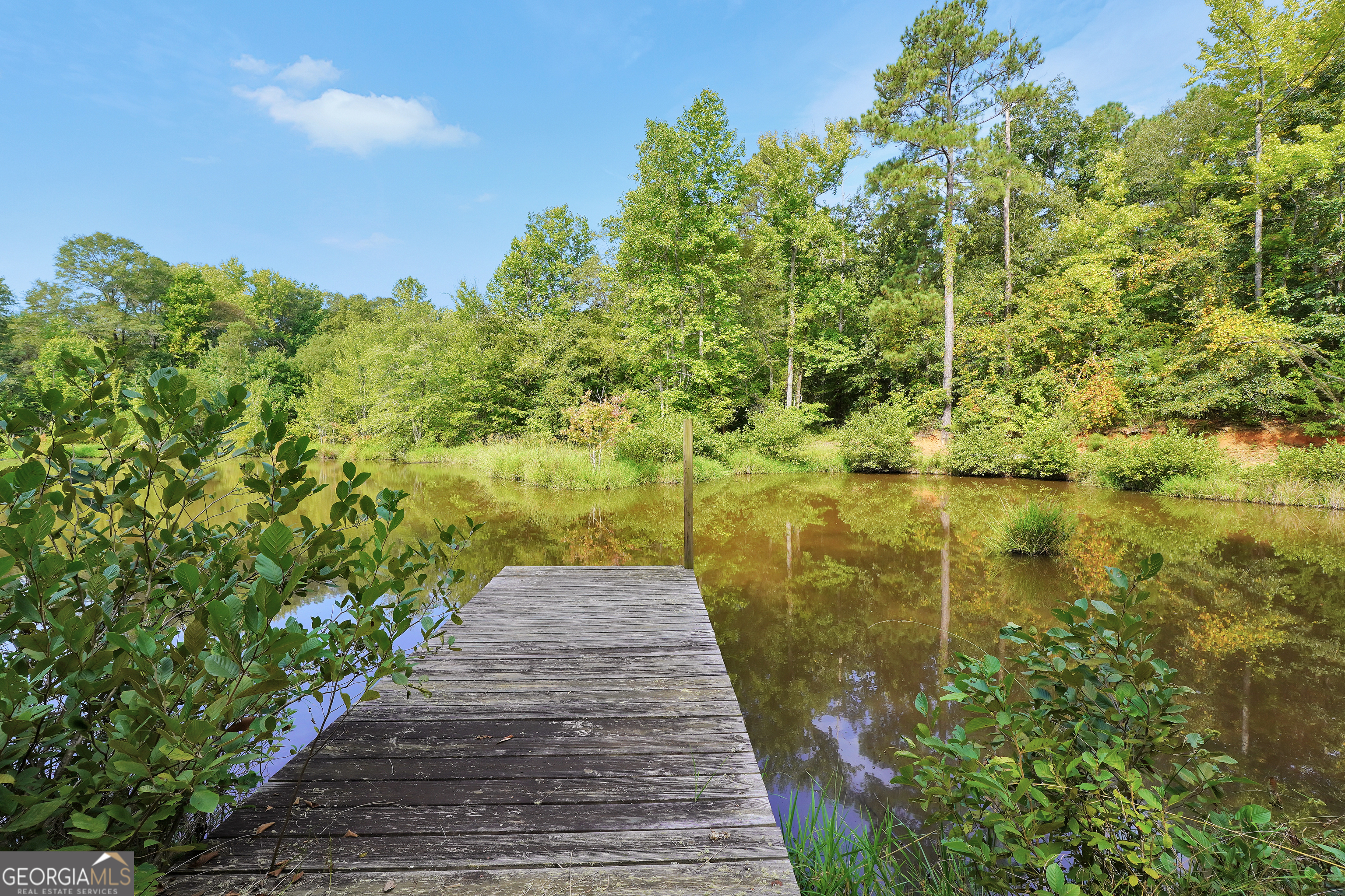 2186 Williamson Zebulon Road Williamson GA 30292