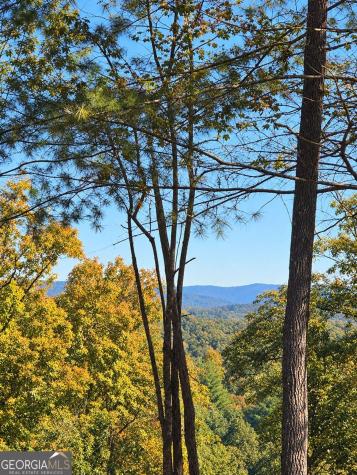 Lot B6 Bentwood Lane Blue Ridge GA 30513