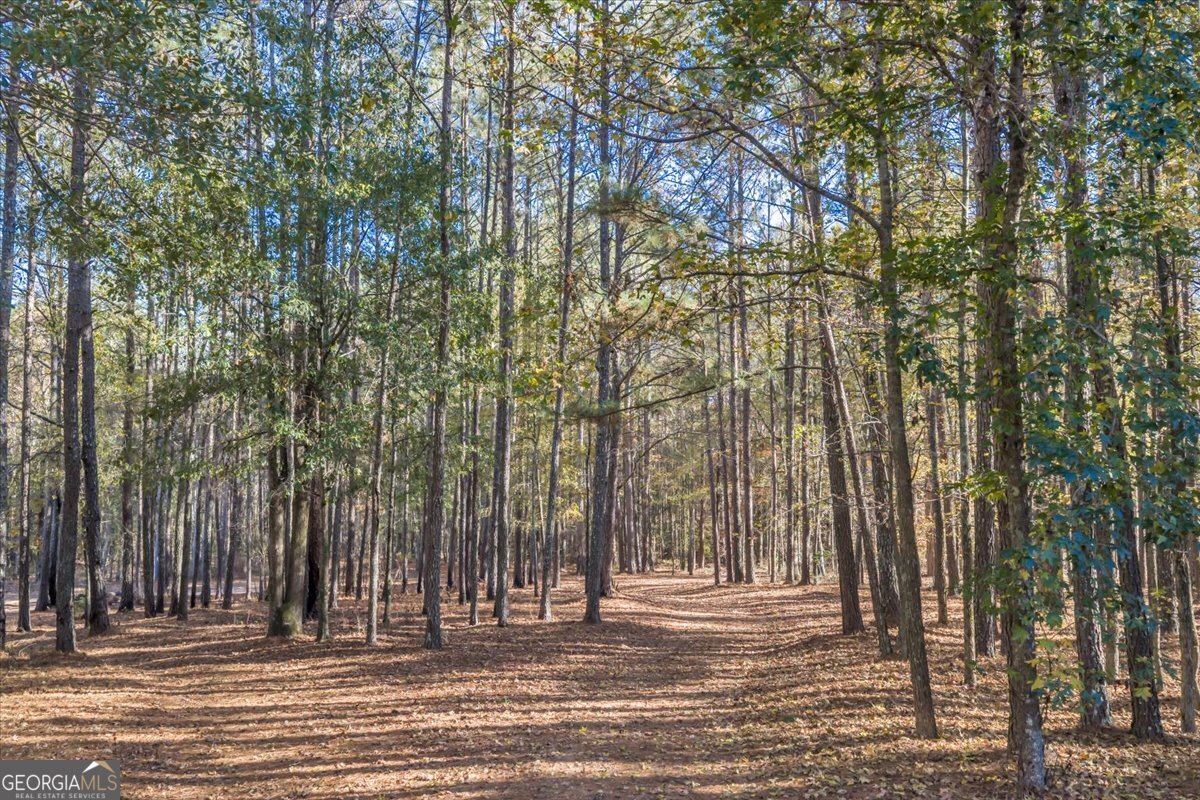2079 Highway 85 Senoia GA 30276