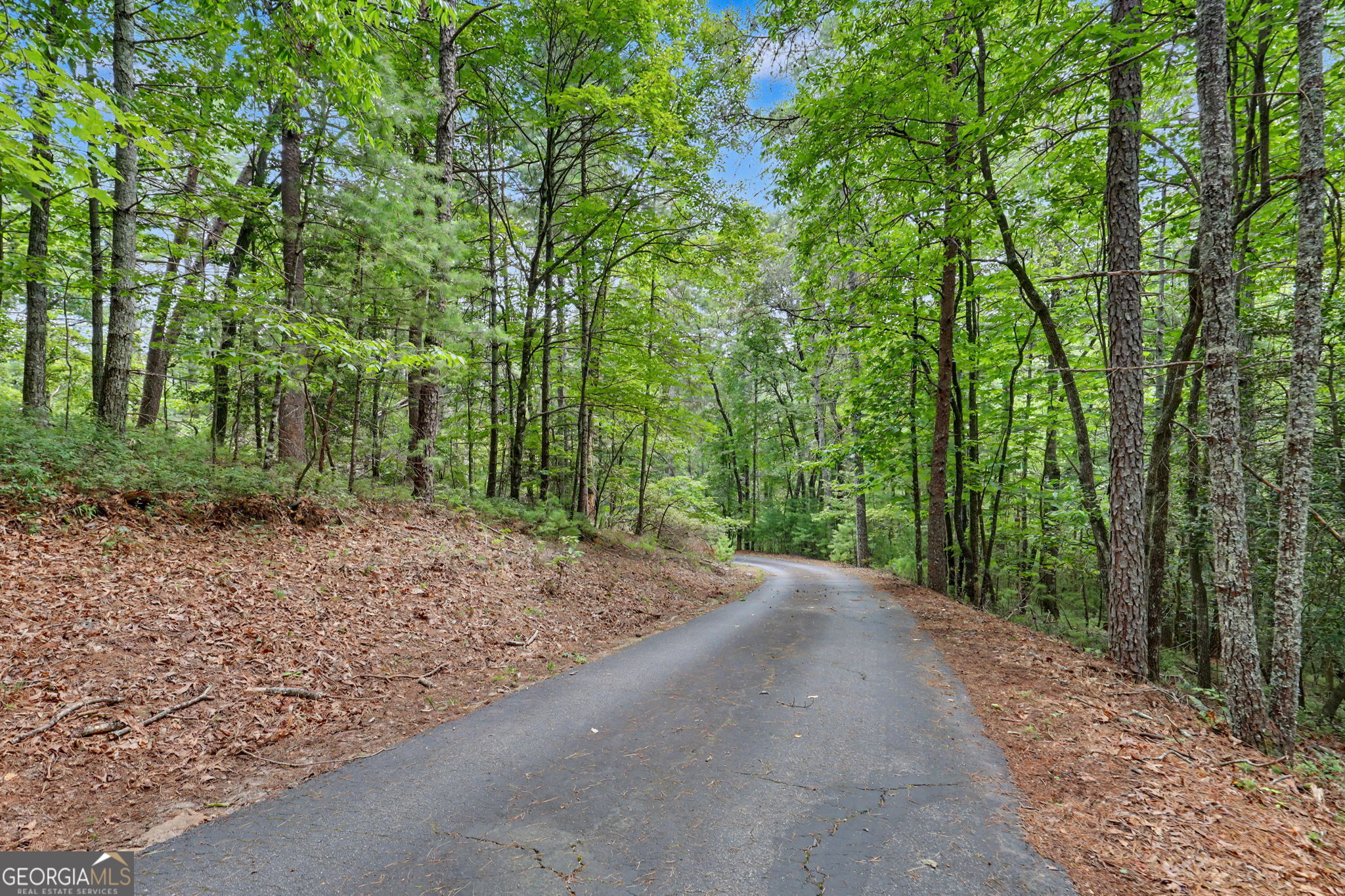 1252 Worley Creek Road Lakemont GA 30552