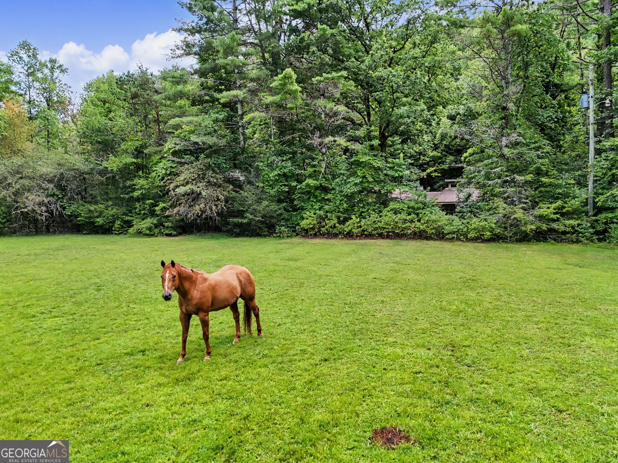 1252 Worley Creek Road Lakemont GA 30552