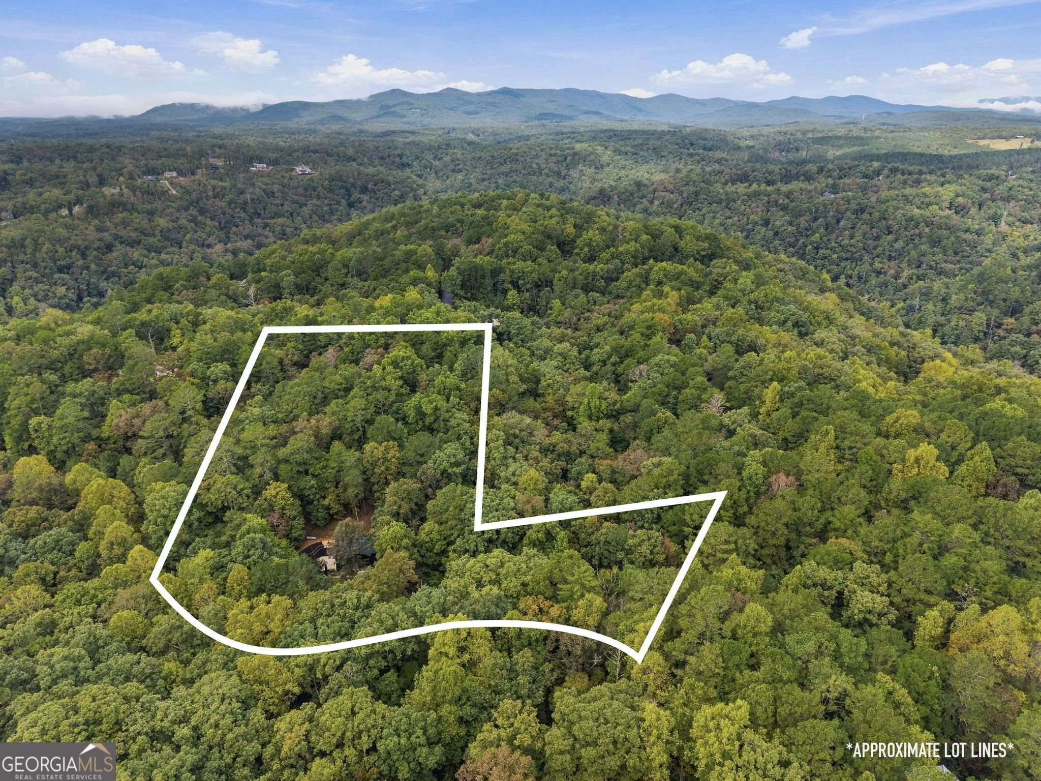 100 Julep Circle Ellijay GA 30540