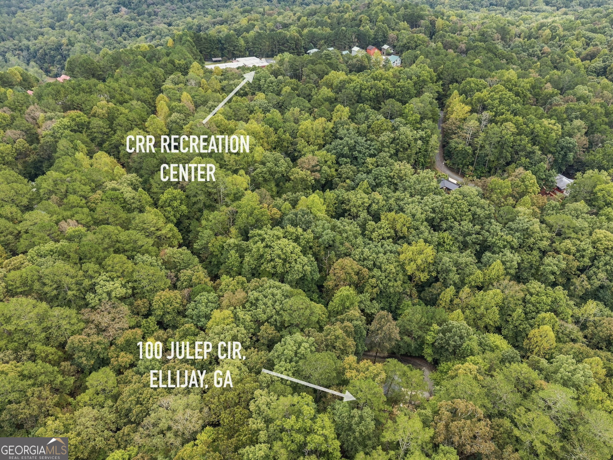 100 Julep Circle Ellijay GA 30540