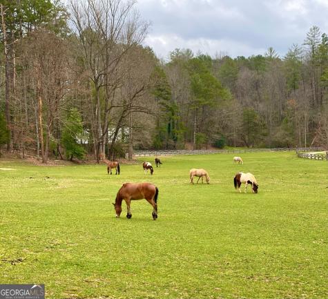 3622 Sandy Ford Road Clayton GA 30525