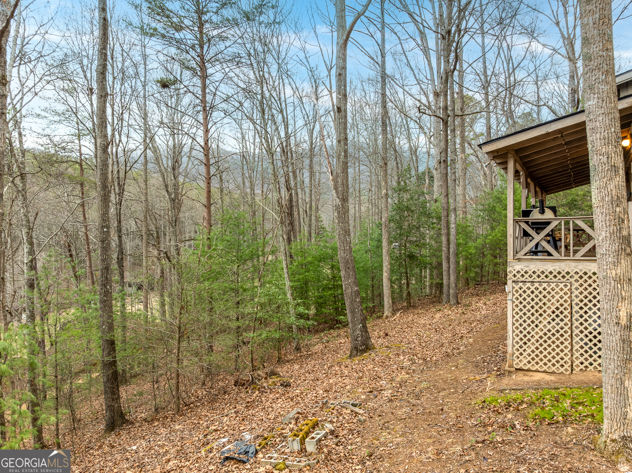 123 Martins Bluff Blairsville GA 30512