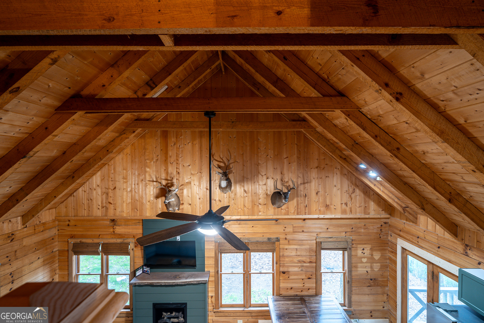 123 Martins Bluff Blairsville GA 30512