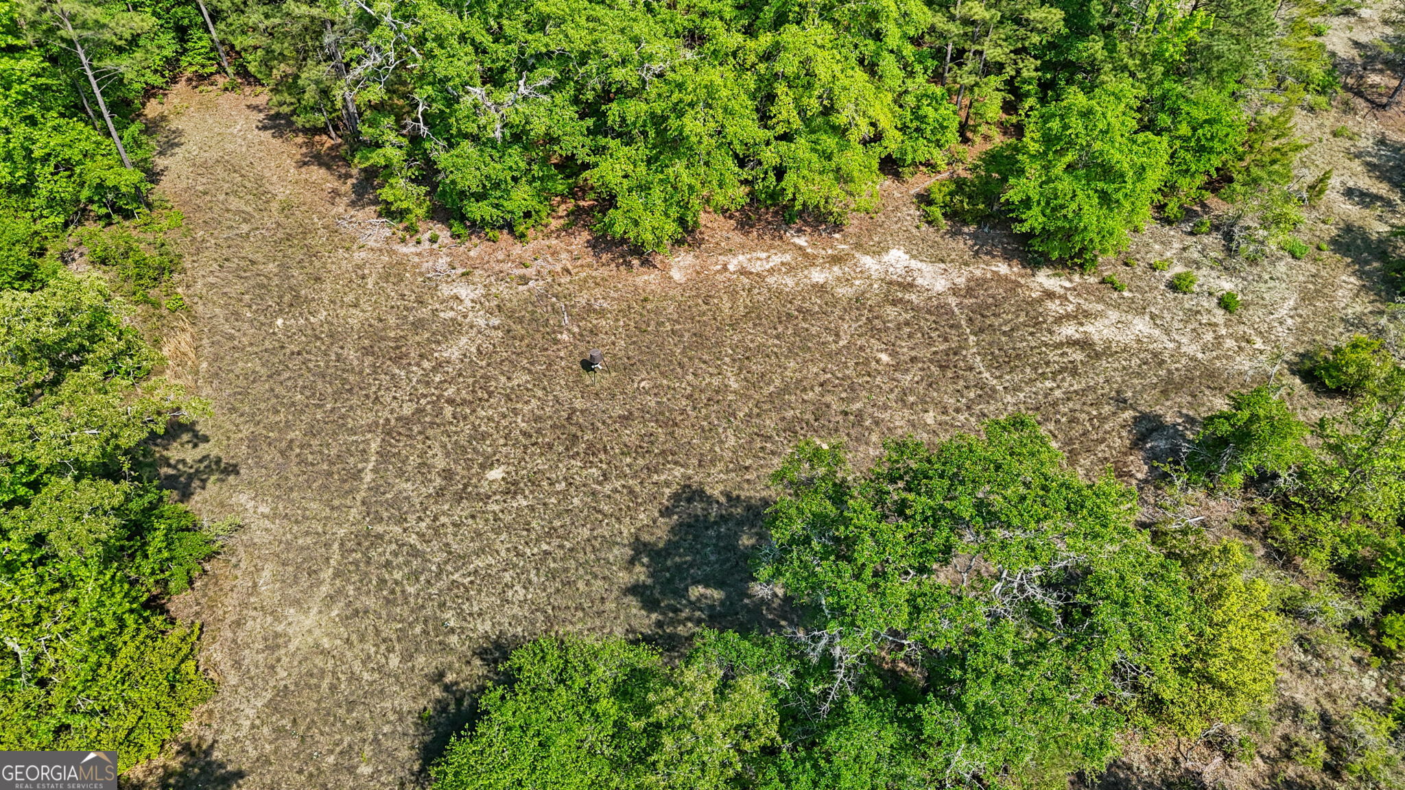 3875 Ga Highway 128 Roberta GA 31078