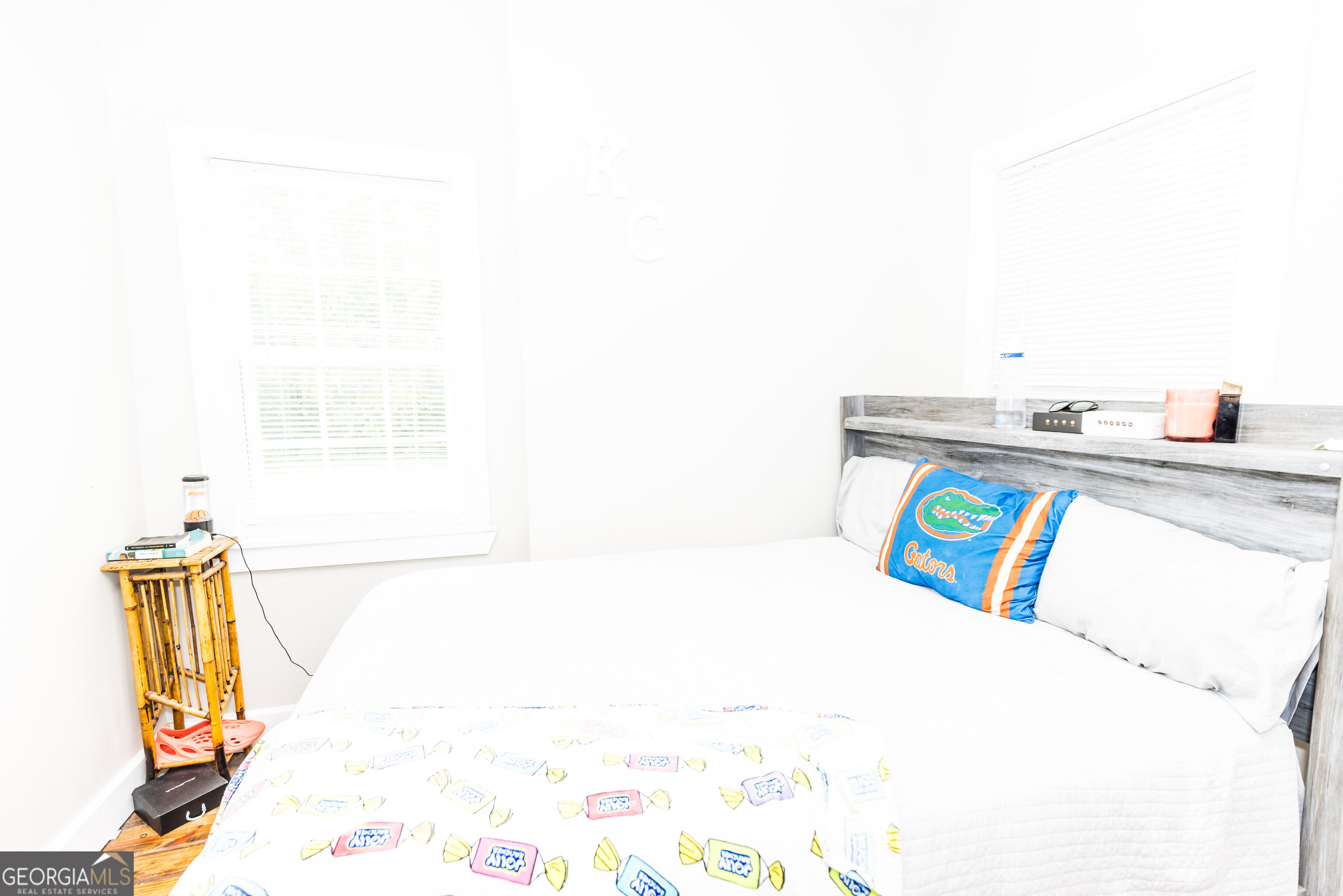 407 Harvey Street Millen GA 30442