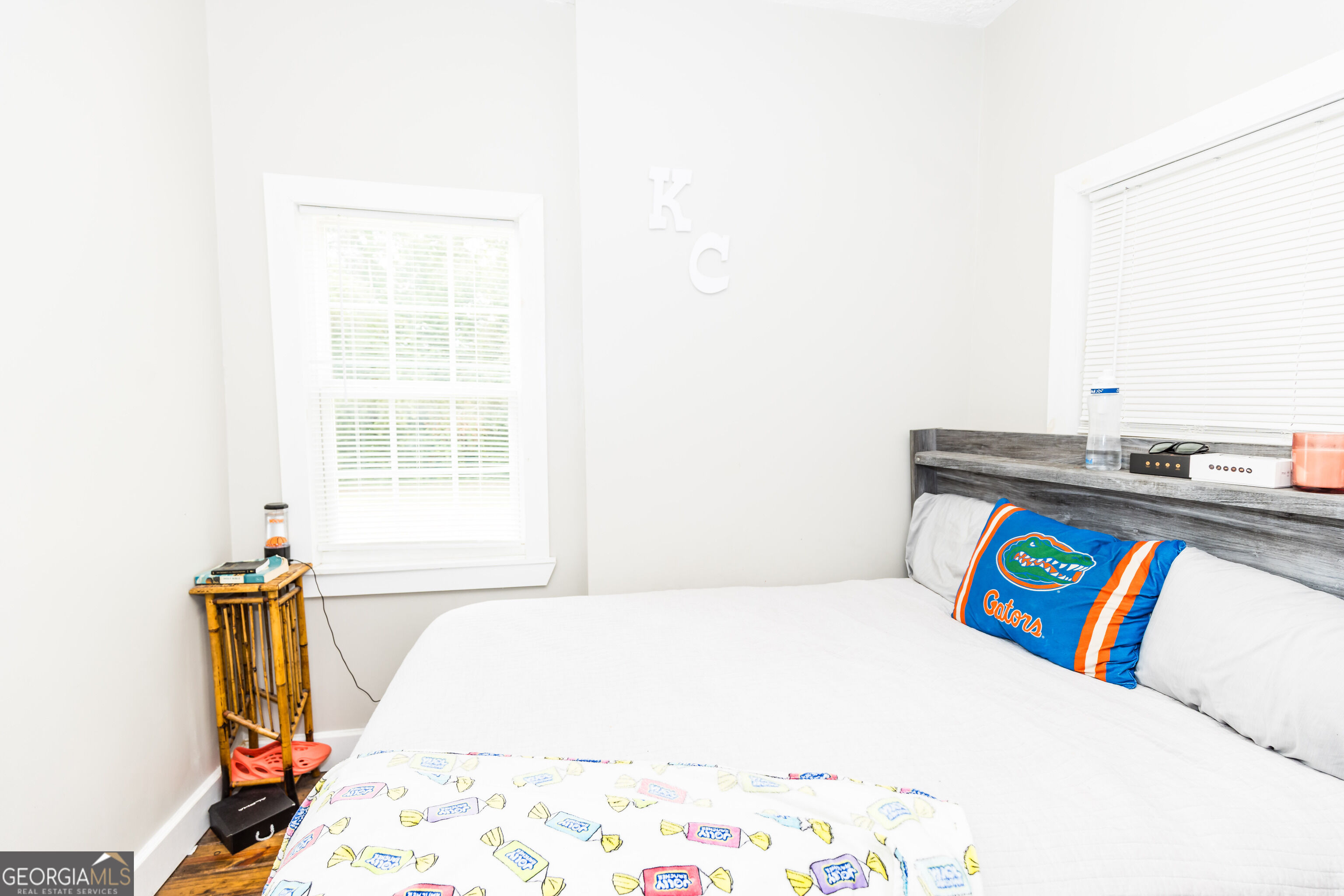 407 Harvey Street Millen GA 30442