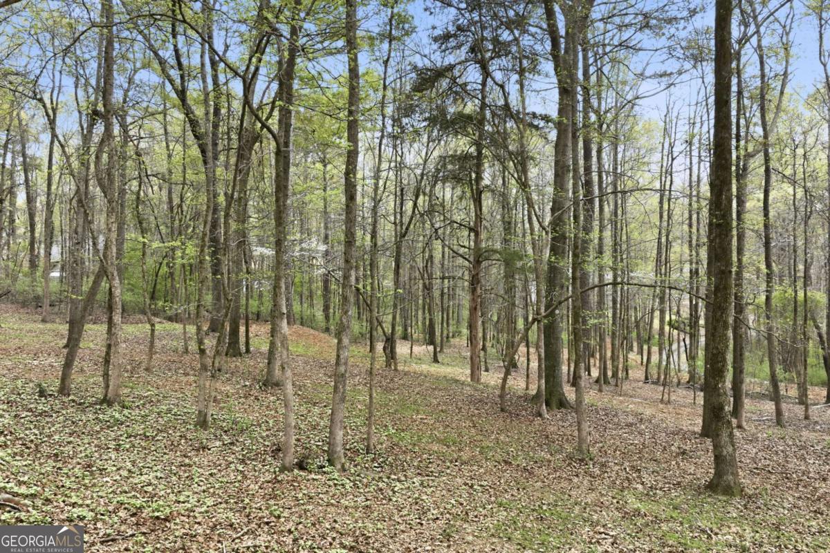 1111 Thornwell Drive Athens GA 30606
