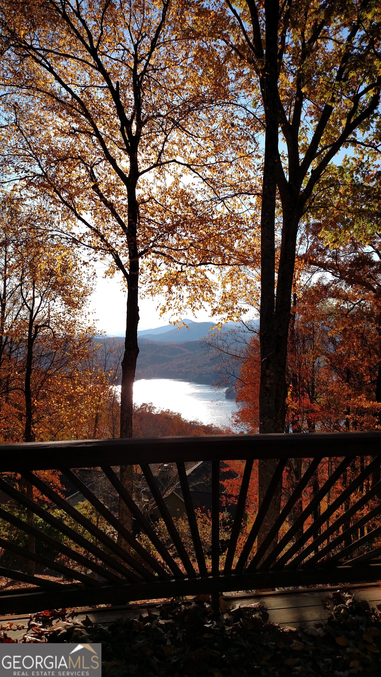 1289 Rainwater Trail Tiger GA 30576